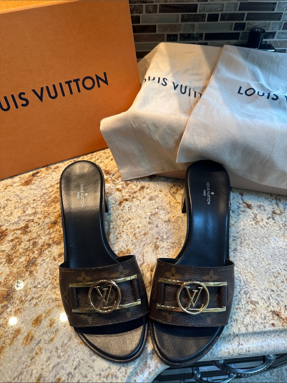 Louis Vuitton Black & Brown Monogram Slide Sandals with Gold LV Accent